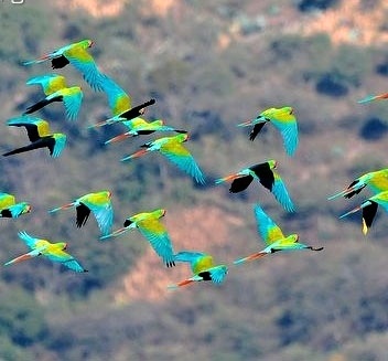 Foto 6
